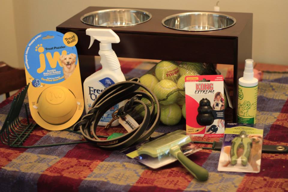 Piles of things for a dog, treat ball, leash, accident clean up spray, tennis balls, brush, kong, nail clippers and dog bowls