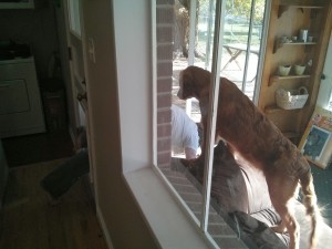 Nate demonstrating dog door use to Bender